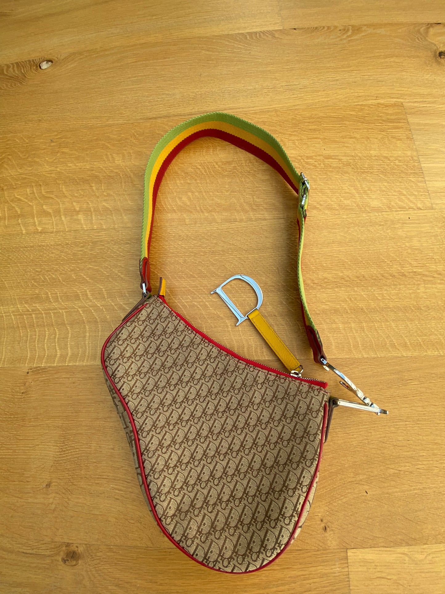 DIOR RASTA saddle bag