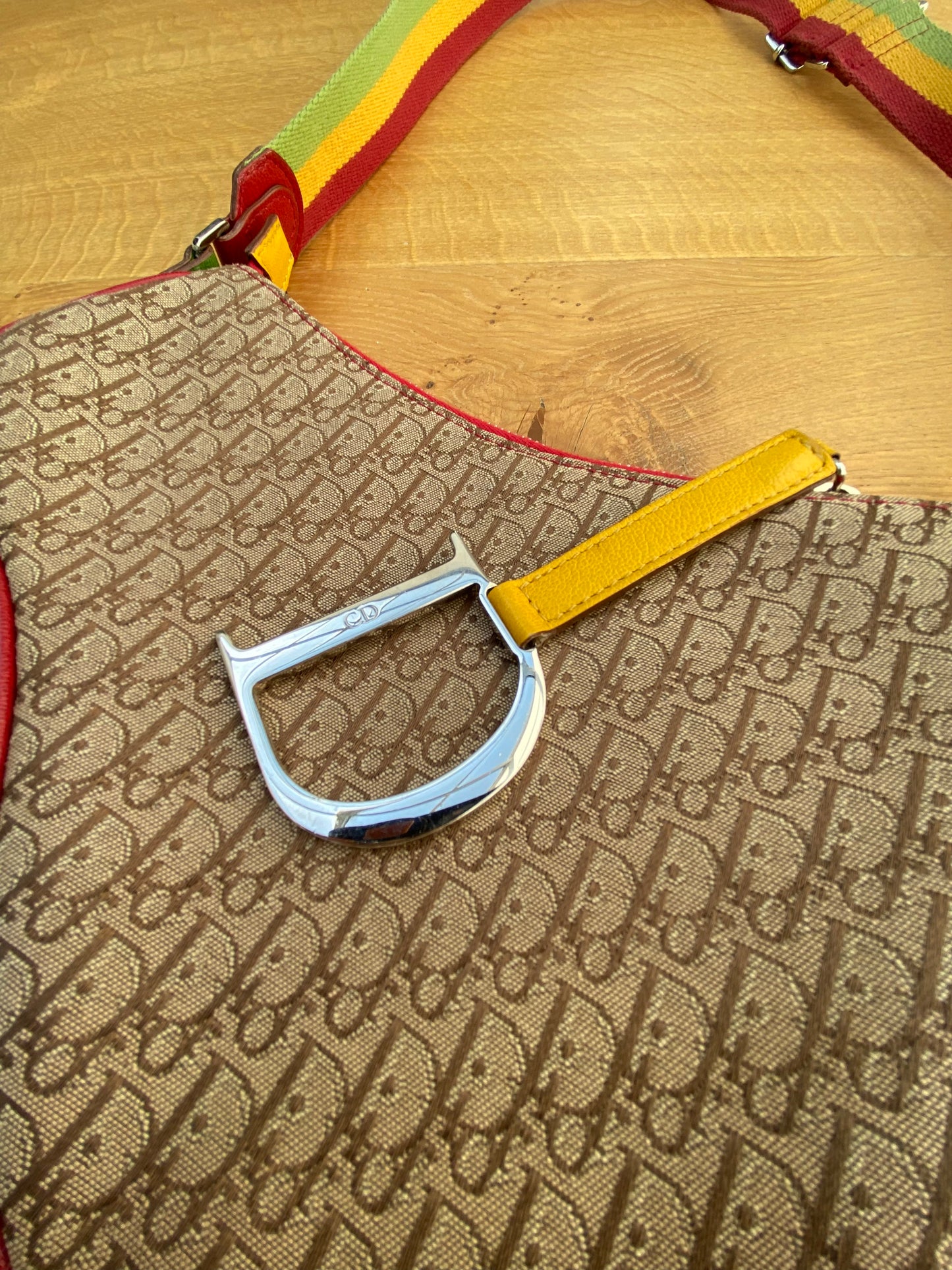 DIOR RASTA saddle bag
